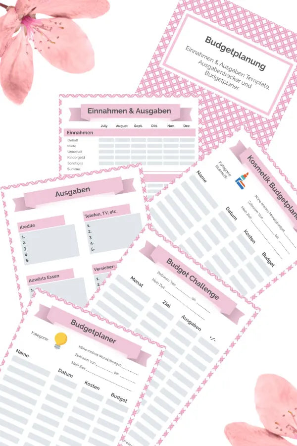 Budgetordner (Pink) PDF AndreasJansen Vorlage